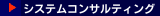 システムコンサルティング