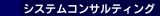 システムコンサルティング